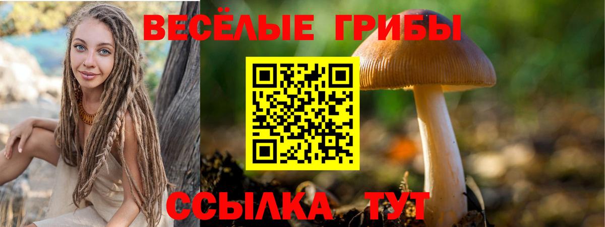 Псилоцибиновые грибы мухоморы  Вход с VPN  Белая Калитва 
